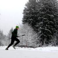 Trailrunning im Winter